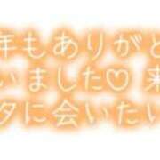 ヒメ日記 2025/12/31 08:05 投稿 つばき 福岡飯塚田川ちゃんこ