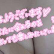 ヒメ日記 2026/01/26 10:20 投稿 つばき 福岡飯塚田川ちゃんこ