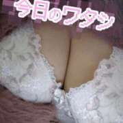 ヒメ日記 2026/01/31 19:05 投稿 つばき 福岡飯塚田川ちゃんこ