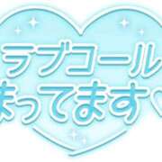 ヒメ日記 2026/02/13 08:06 投稿 つばき 福岡飯塚田川ちゃんこ
