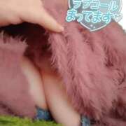 ヒメ日記 2026/04/11 19:45 投稿 つばき 福岡飯塚田川ちゃんこ