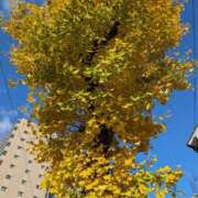 ヒメ日記 2025/12/12 09:20 投稿 たえ 人妻本舗愛のしずく名古屋店