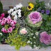 ヒメ日記 2026/01/12 12:38 投稿 たえ 人妻本舗愛のしずく名古屋店