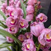 ヒメ日記 2026/01/31 21:30 投稿 たえ 人妻本舗愛のしずく名古屋店