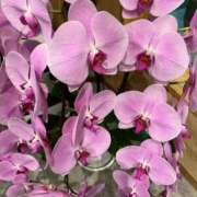 ヒメ日記 2026/02/25 19:39 投稿 たえ 人妻本舗愛のしずく名古屋店