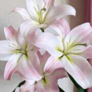 ヒメ日記 2026/03/15 00:21 投稿 たえ 人妻本舗愛のしずく名古屋店