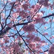 ヒメ日記 2026/03/29 15:52 投稿 たえ 人妻本舗愛のしずく名古屋店