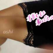 ヒメ日記 2025/12/15 12:54 投稿 よつば 桃李（とうり）