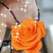 ヒメ日記 2026/01/14 16:34 投稿 よつば 桃李（とうり）