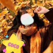 ヒメ日記 2025/11/27 18:25 投稿 ここ 熟女の風俗最終章 錦糸町店