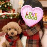 ヒメ日記 2025/12/13 14:25 投稿 ここ 熟女の風俗最終章 錦糸町店