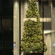 ヒメ日記 2025/11/28 21:05 投稿 ありさ 性腺熟女100％（デリヘル市場）