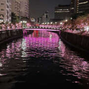 ヒメ日記 2025/12/07 00:20 投稿 ありさ 性腺熟女100％（デリヘル市場）