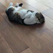 ヒメ日記 2026/02/03 07:04 投稿 あやめ 11チャンネル