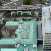 ヒメ日記 2026/07/24 23:21 投稿 本多くるみ(ほんだくるみ) 神戸妻