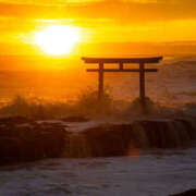 ヒメ日記 2026/02/13 17:29 投稿 みさき 千葉中央人妻援護会