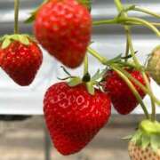 ヒメ日記 2026/02/06 08:41 投稿 小林 あやか こあくまな熟女たち 本厚木店(KOAKUMAグループ)