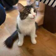 ヒメ日記 2025/12/07 16:14 投稿 ふゆ コンカフェ＆オナクラ ちいかの！池袋店