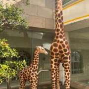 ヒメ日記 2025/11/28 16:37 投稿 蒼井るか 西川口風俗ド淫乱ンド