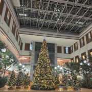 ヒメ日記 2025/11/30 16:47 投稿 蒼井るか 西川口風俗ド淫乱ンド