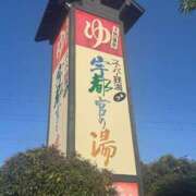 ヒメ日記 2025/11/30 10:11 投稿 すい 奥様なでしこ