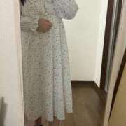 ヒメ日記 2025/11/30 12:04 投稿 すい 奥様なでしこ