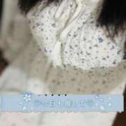 ヒメ日記 2025/11/30 17:46 投稿 すい 奥様なでしこ