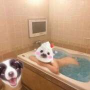 ヒメ日記 2025/11/30 20:03 投稿 ほたる 大高・大府市・東海市ちゃんこ