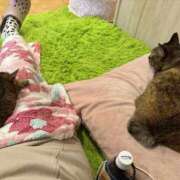 ヒメ日記 2025/12/08 23:33 投稿 ほたる 大高・大府市・東海市ちゃんこ