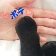 ヒメ日記 2025/12/19 16:13 投稿 ほたる 大高・大府市・東海市ちゃんこ