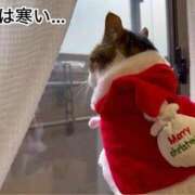 ヒメ日記 2025/12/25 13:33 投稿 ほたる 大高・大府市・東海市ちゃんこ