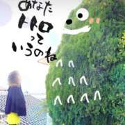 ヒメ日記 2025/12/25 20:23 投稿 ほたる 大高・大府市・東海市ちゃんこ