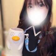 ヒメ日記 2026/02/19 14:48 投稿 まいか カクテル(岡山)