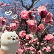 ヒメ日記 2026/03/12 12:18 投稿 まいか カクテル(岡山)