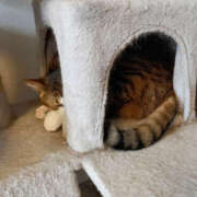 ヒメ日記 2026/01/12 15:24 投稿 ゆうな 奥様 仙台人妻セレブリティー