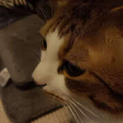 ヒメ日記 2026/01/19 12:28 投稿 ゆうな 奥様 仙台人妻セレブリティー