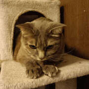 ヒメ日記 2026/02/28 19:35 投稿 ゆうな 奥様 仙台人妻セレブリティー