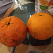 ヒメ日記 2026/03/10 11:19 投稿 ゆうな 奥様 仙台人妻セレブリティー