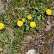 ヒメ日記 2026/04/08 12:21 投稿 ゆうな 奥様 仙台人妻セレブリティー