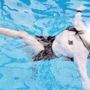 ヒメ日記 2025/12/08 17:55 投稿 ♦きょうこ♦ 翡翠の夢