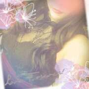 ヒメ日記 2025/12/29 15:15 投稿 七瀬 池袋夢幻