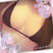 ヒメ日記 2025/12/30 00:41 投稿 七瀬 池袋夢幻