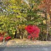 ヒメ日記 2025/12/02 17:01 投稿 ともか 大奥 梅田店