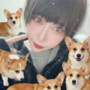 ヒメ日記 2025/12/30 23:02 投稿 りと マリン千姫