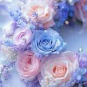 ヒメ日記 2025/12/07 00:00 投稿 りん マダム西船橋