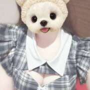 ちなつ はじめまして♡ モアグループ熊谷人妻花壇