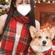 ヒメ日記 2025/12/31 13:33 投稿 ゆめ マリン千姫