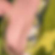 ヒメ日記 2026/01/11 16:30 投稿 つばさ さくらん