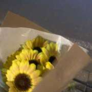 なつき【純白のギャップ】 お礼💌💙 STELLA TOKYO－ステラトウキョウ－