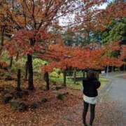 さえこ 撮影しました セレブクエスト-Nishikawa-